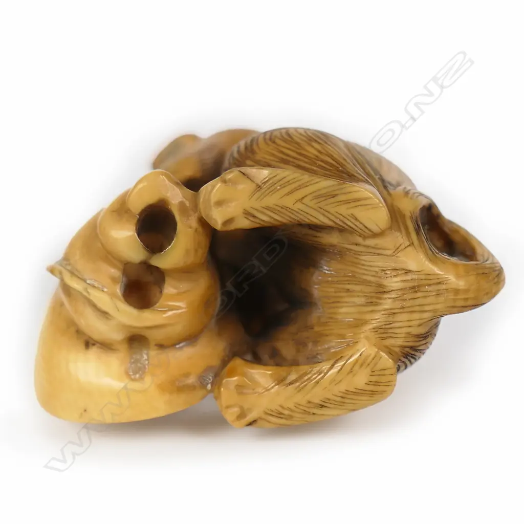 A Meiji Japanese carved and stained ivory netsuke study of an emaciated dog, Image 1++
