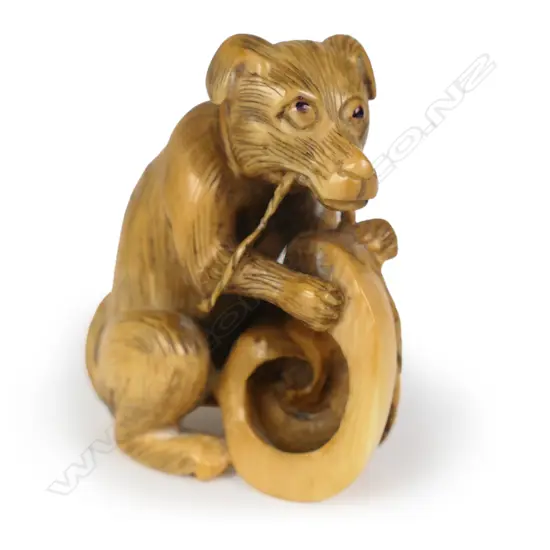 A Meiji Japanese carved and stained ivory netsuke study of an emaciated dog,