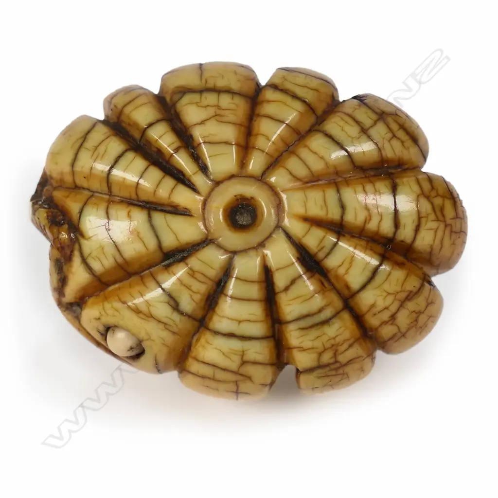 A c.1800 carved ivory netsuke study of a pumpkin, Image 1++