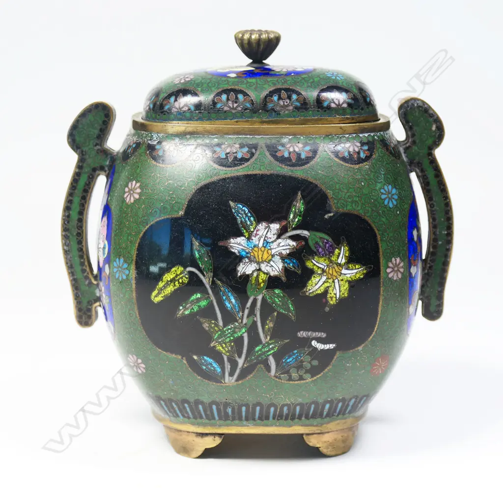 An unusual Meiji period Japanese cloisonné lidded caddy, Image 1++