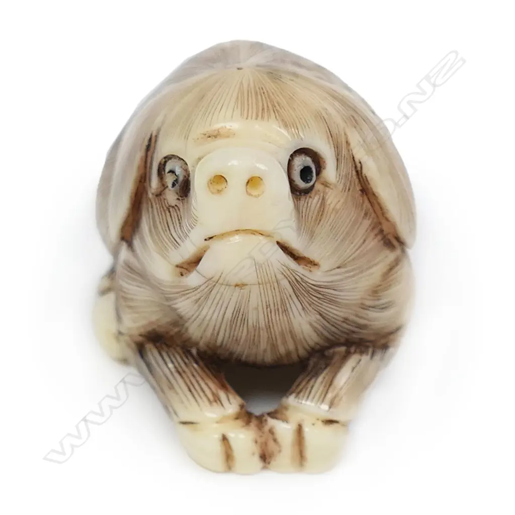 A Japanese carved ivory netsuke, Image 1++