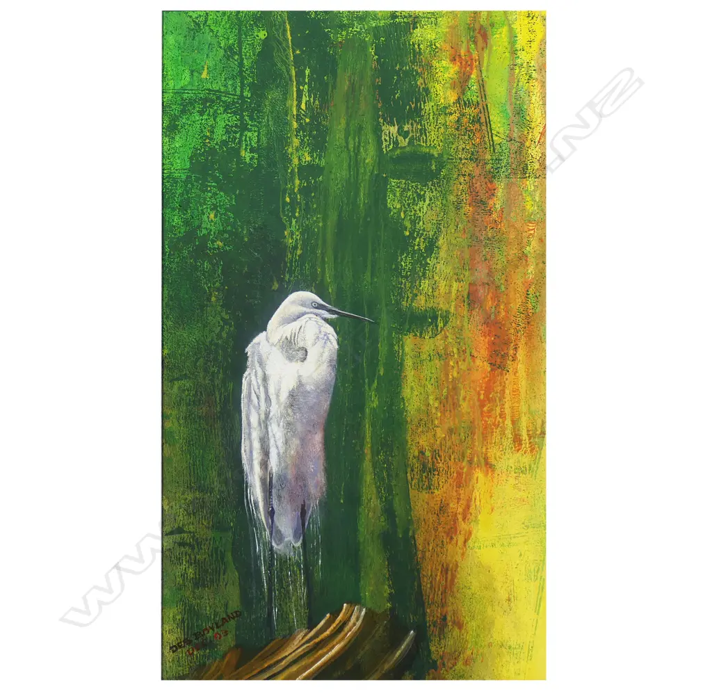 Des Boyland (Australia) Kotuku, Image 1++