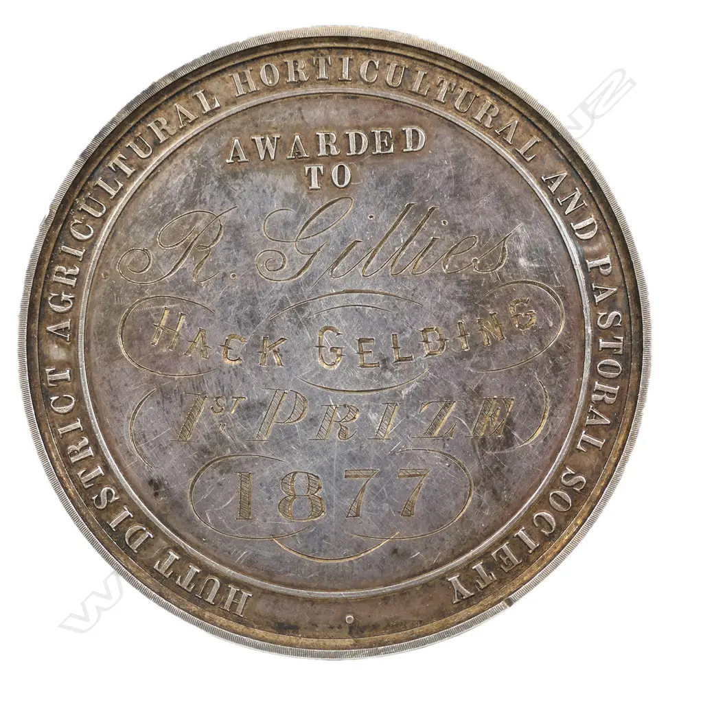 An 1877 New Zealand Hutt District Agricultural Horticultural and Pastoral silver medallion, Image 1++