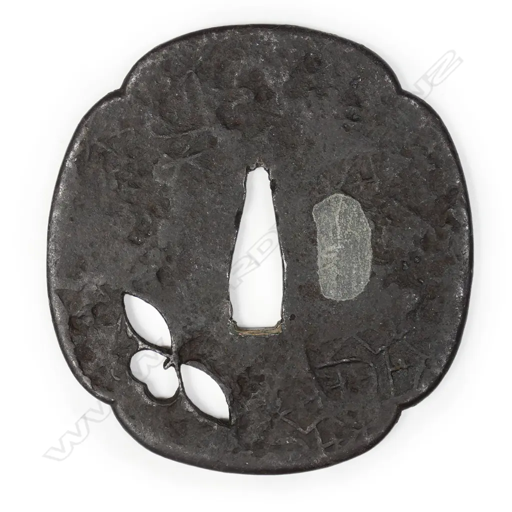 A large 17thC Tembo school iron tsuba, Image 1++