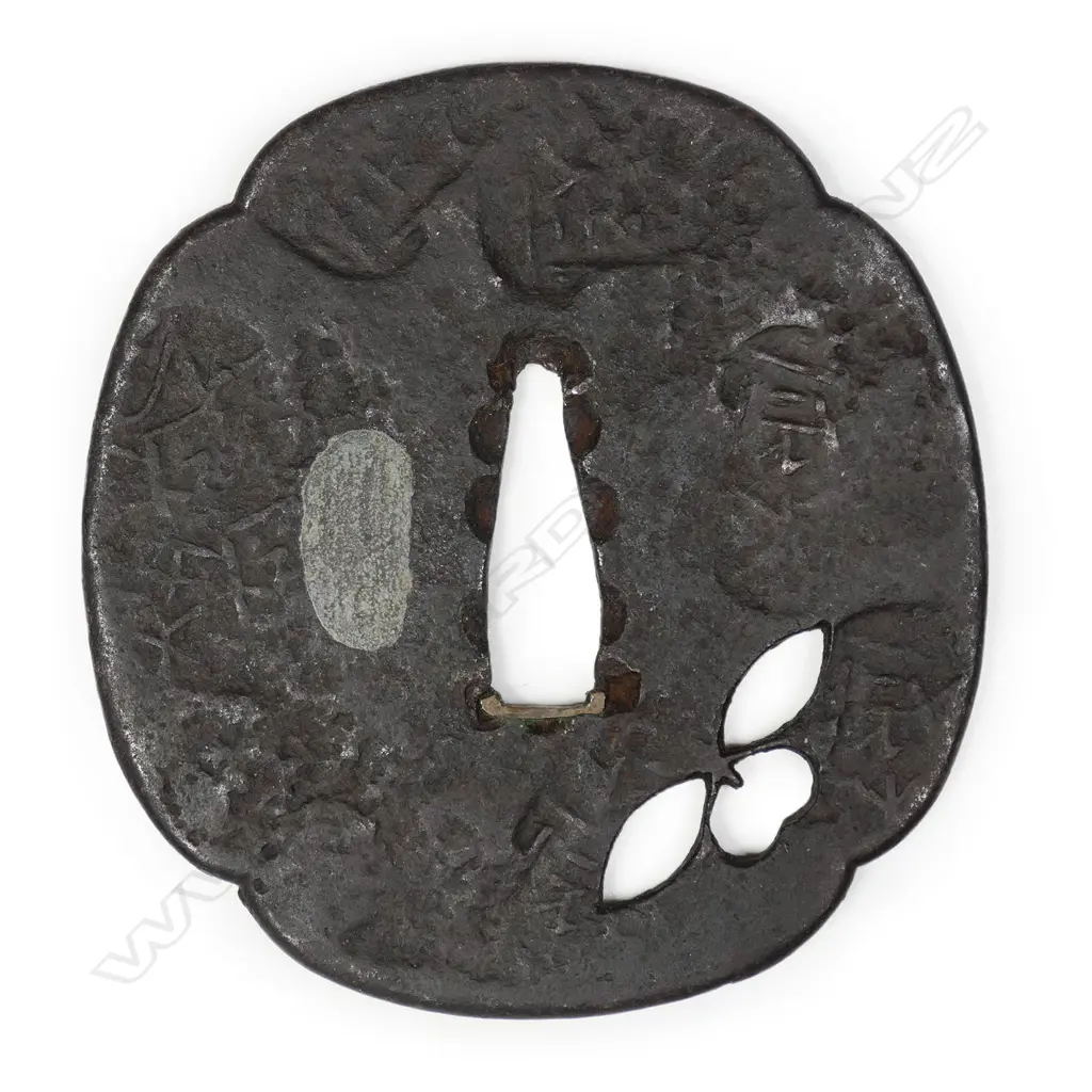A large 17thC Tembo school iron tsuba, Image 1++