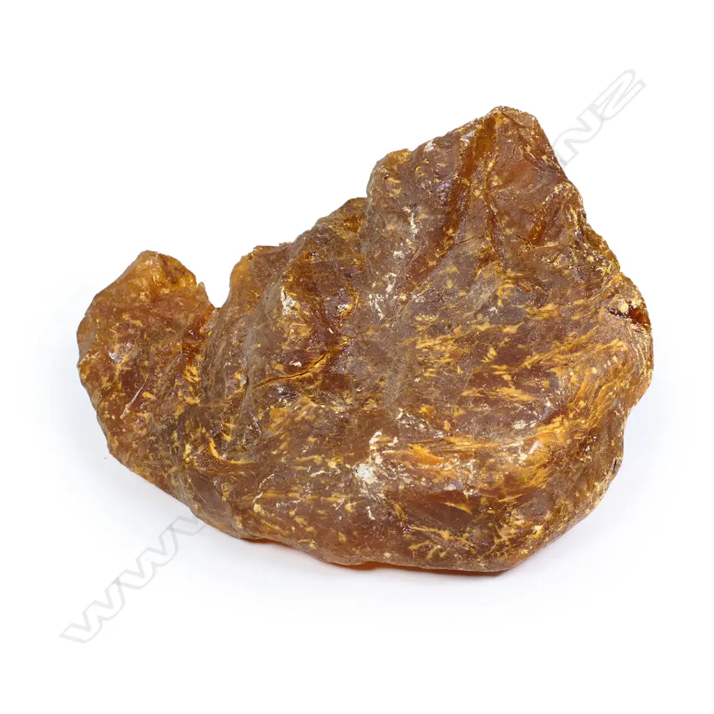 A very large kauri gum nugget, Image 1++