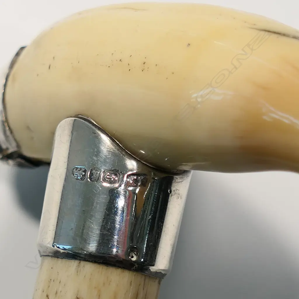 A Victorian whale bone walking stick, Image 1++