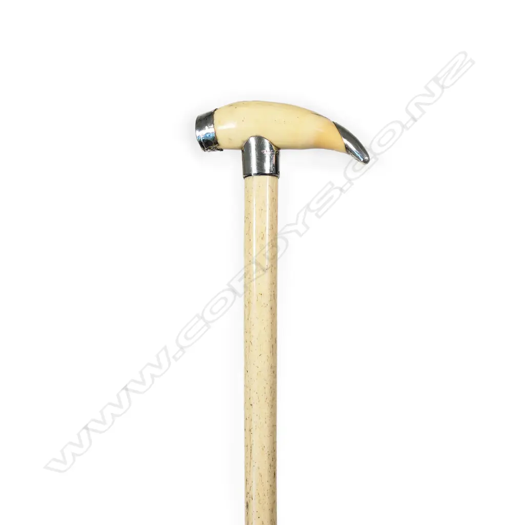 A Victorian whale bone walking stick, Image 1++