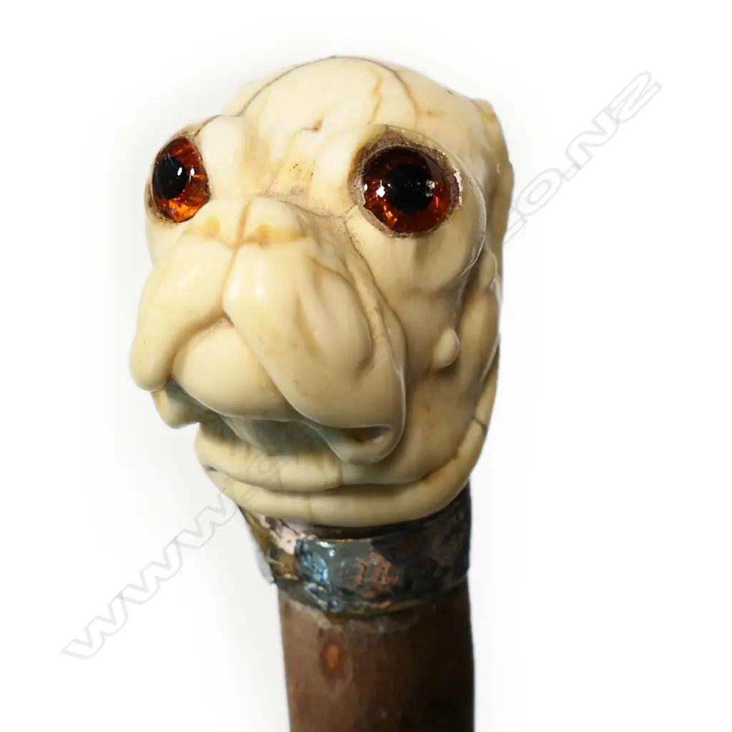 A Victorian briar and marine ivory walking stick, Image 1++
