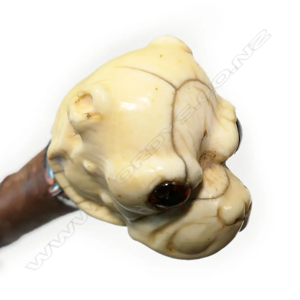 A Victorian briar and marine ivory walking stick, Image 1++