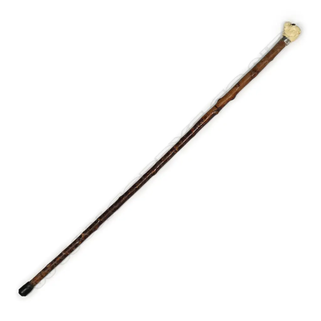A Victorian briar and marine ivory walking stick, Image 1++