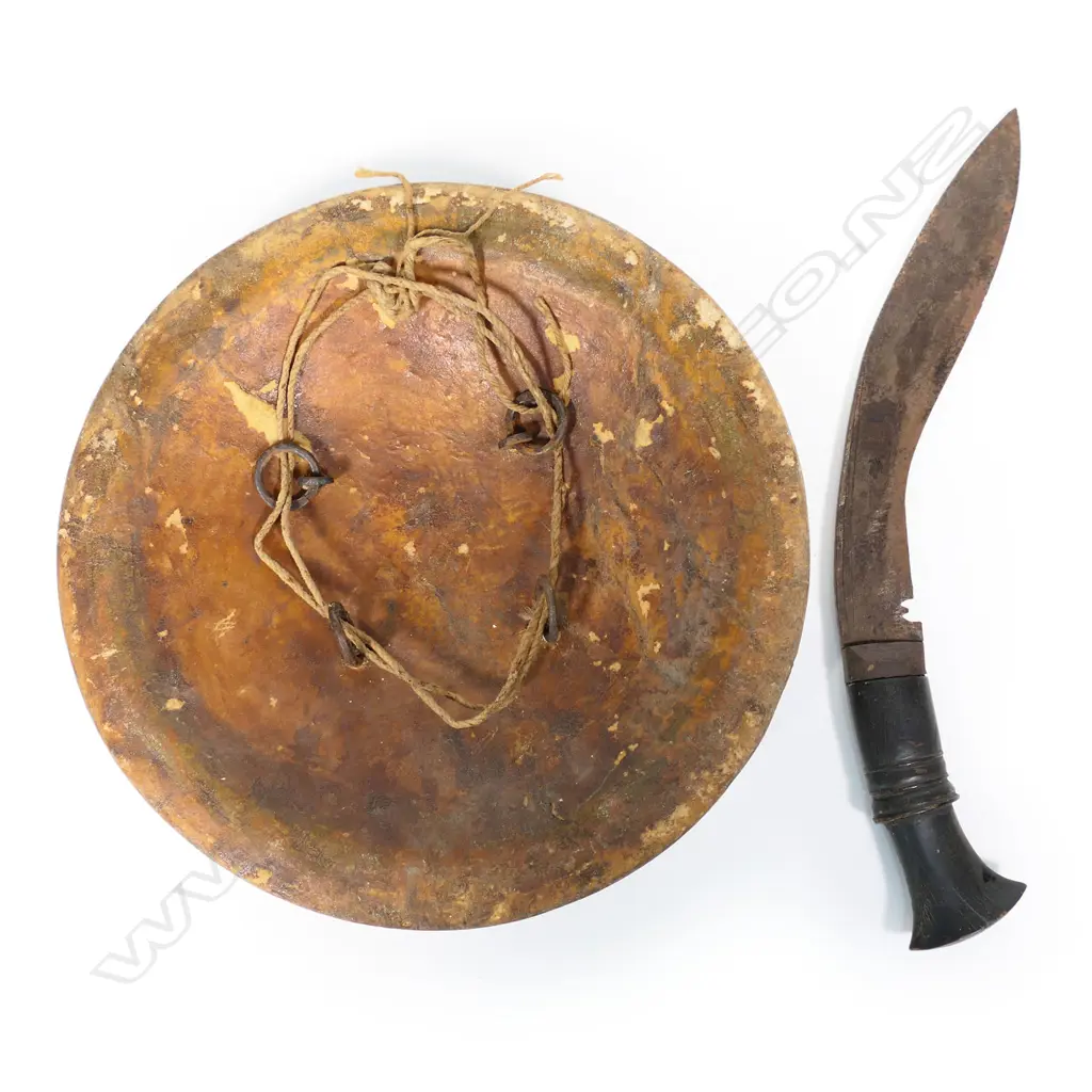 An antique North Indian animal hide buckler (small shield) with small kukri, Image 1++