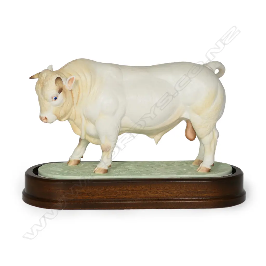 A Royal Worcester figure of a Charolais Bull, Image 1++