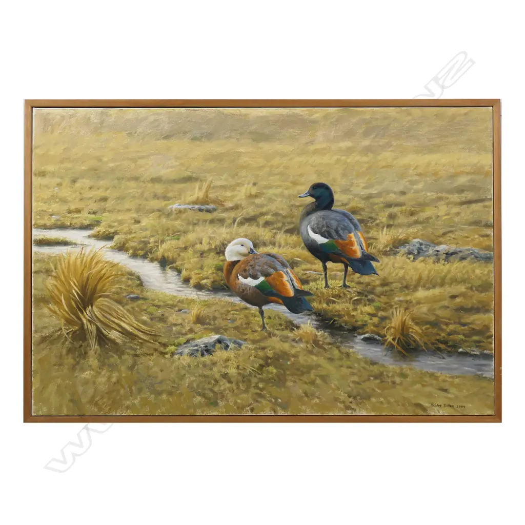 Nicolas Dillon 'Paradise Ducks' , Image 1++