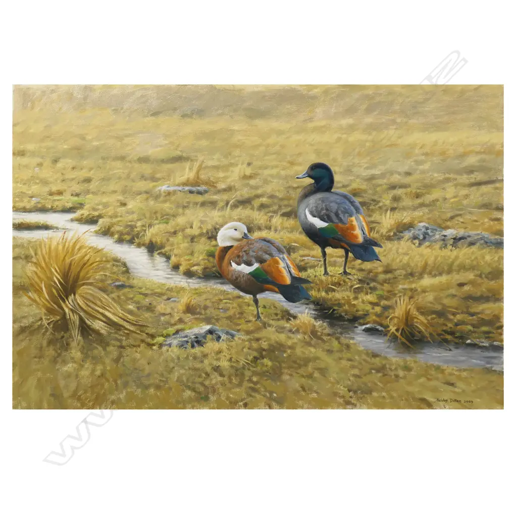 Nicolas Dillon 'Paradise Ducks' , Image 1++