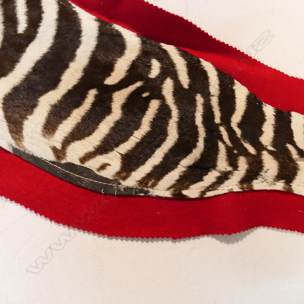 A vintage zebra skin rug, Image 1++
