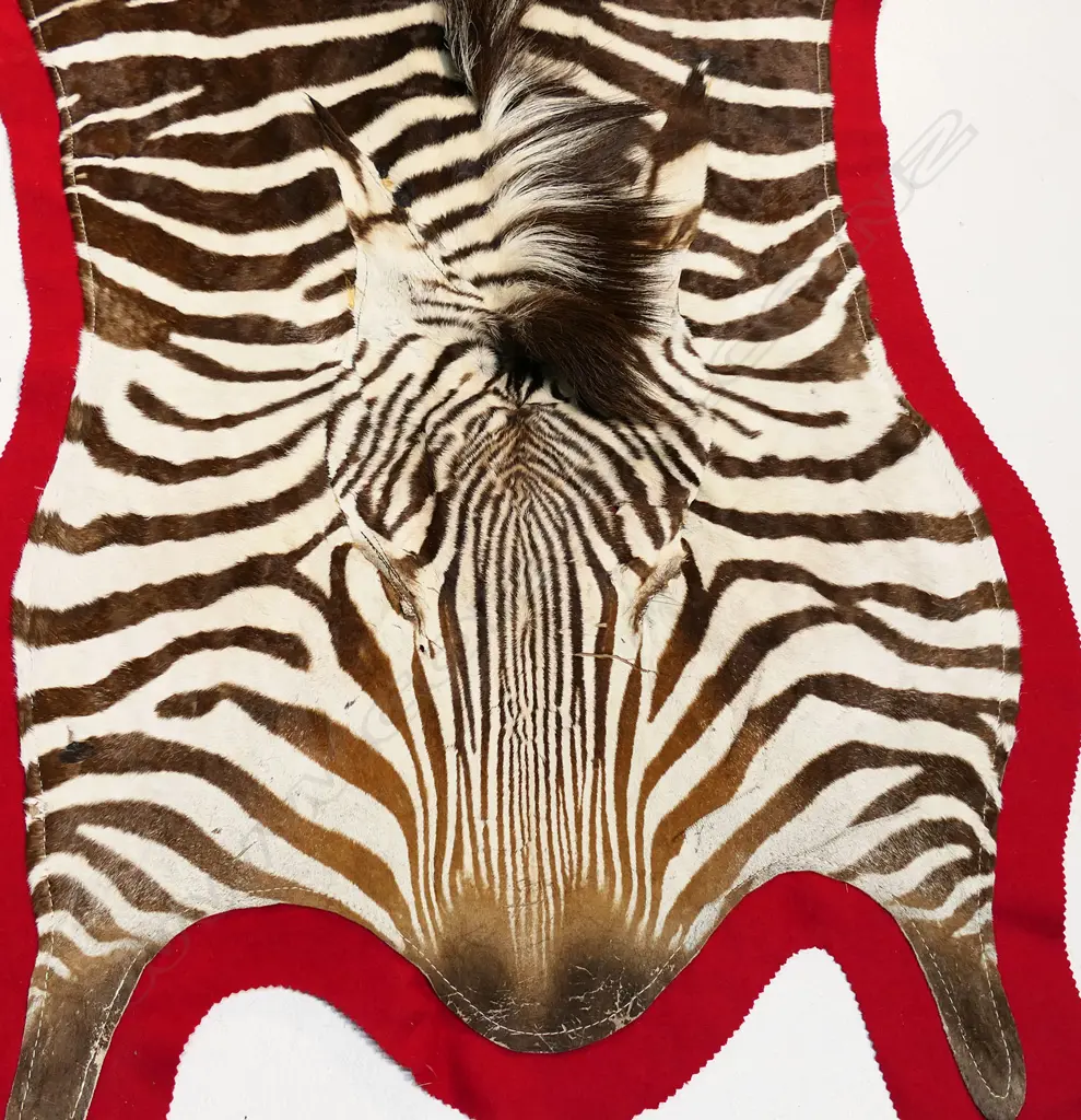 A vintage zebra skin rug, Image 1++