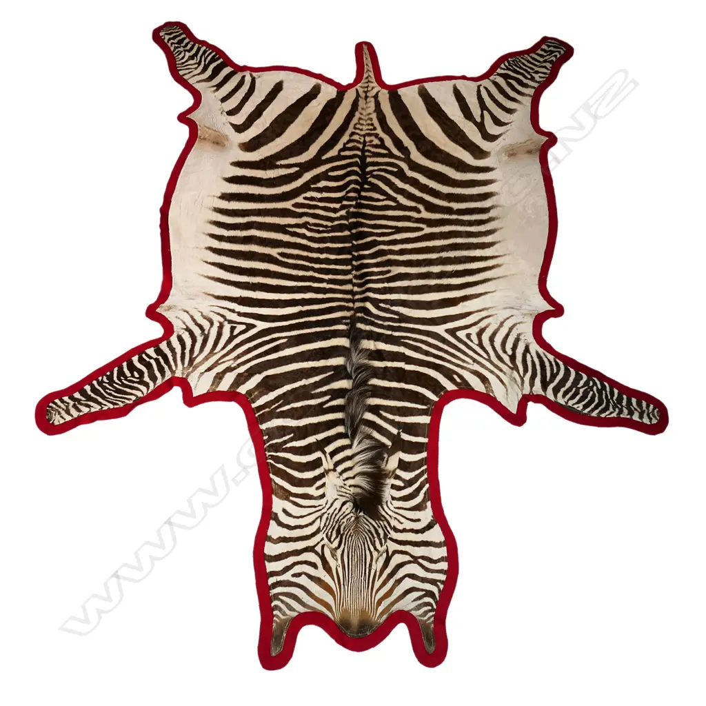 A vintage zebra skin rug, Image 1++