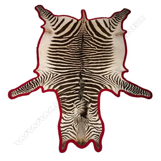 A vintage zebra skin rug,