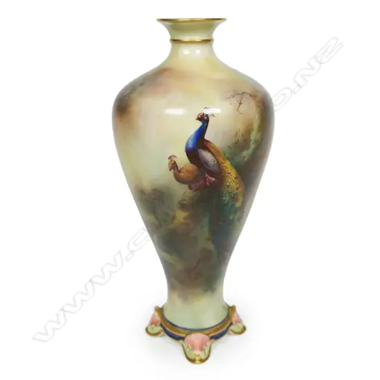 An Edwardian 1905 Royal Worcester peacock painted elegant baluster vase,