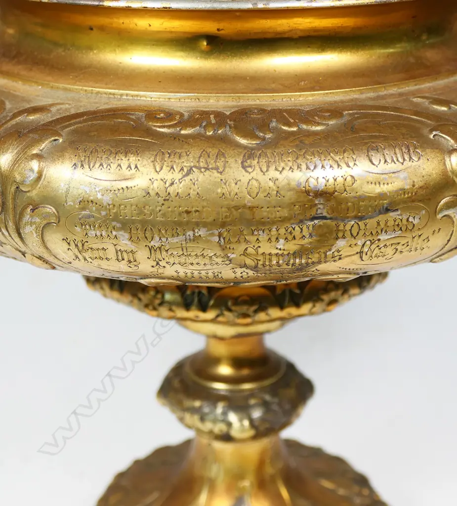 The large and impressive New Zealand historic 1878 gilded silver 'AWA MOA' 'North Otago Coursing Cup', Image 1++