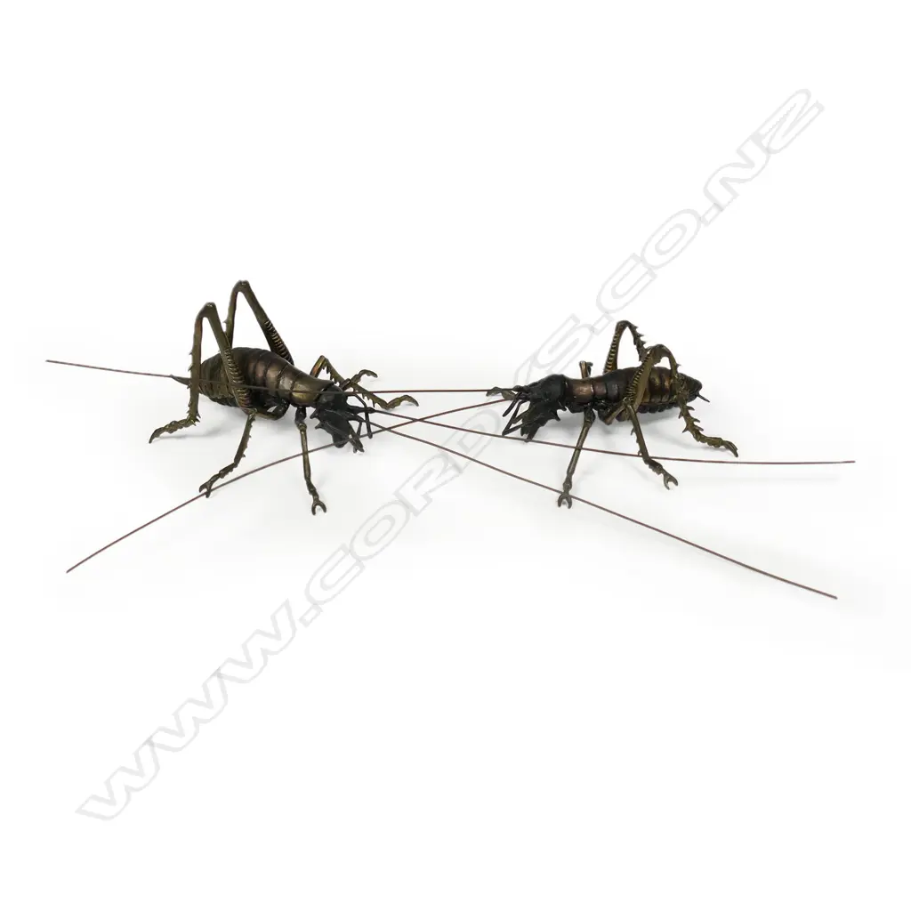 Ken Auton (NZ) pair of bronze weta, Image 1++