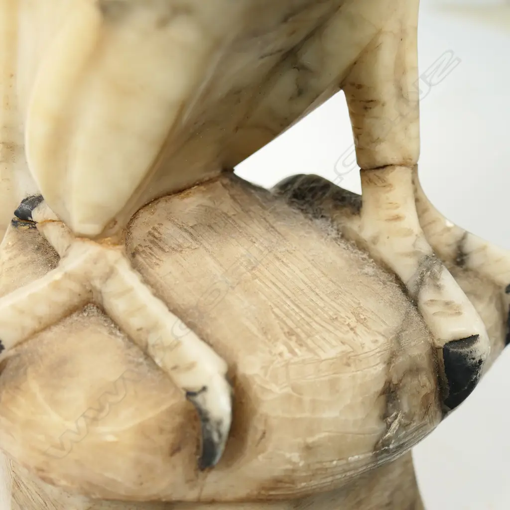 An early 20thC alabaster carved parrot, Image 1++