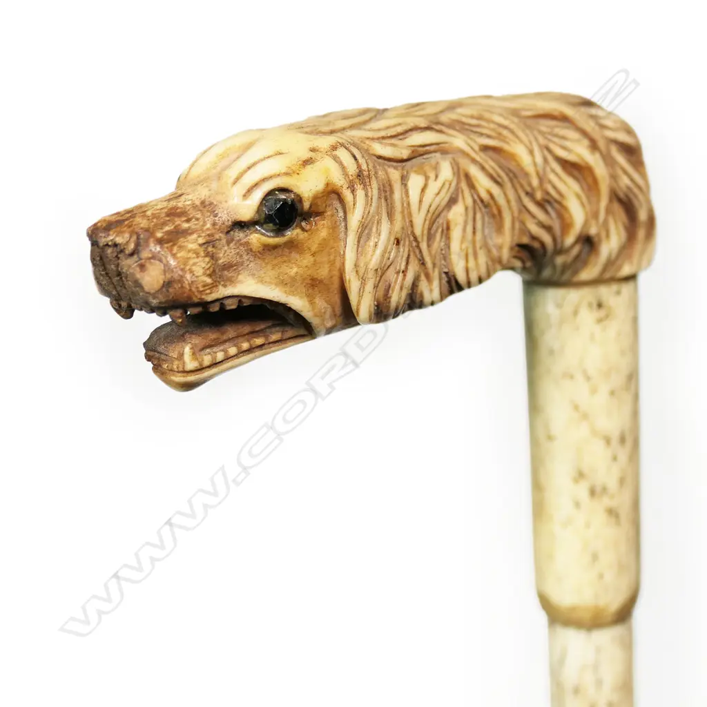 A 19thC whalebone walking stick, Image 1++