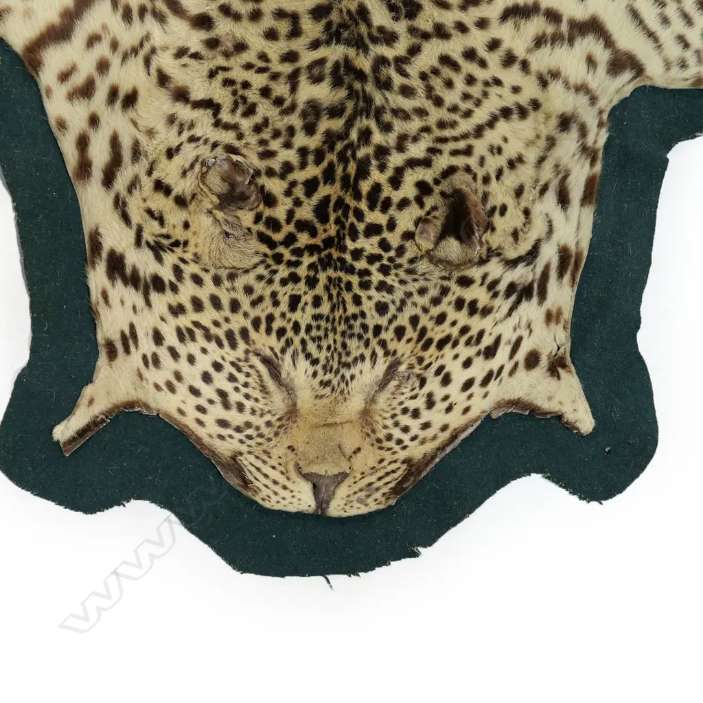 A vintage leopard skin rug, Image 1++