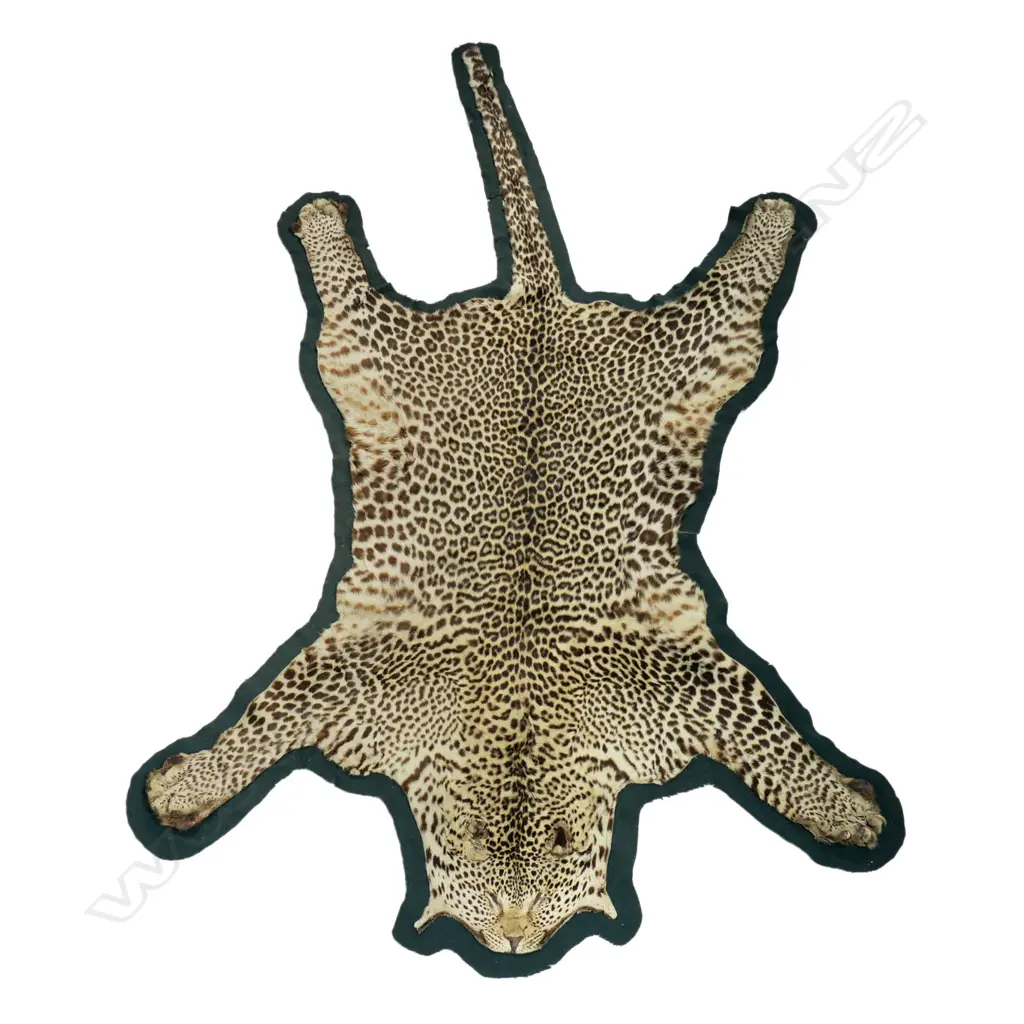 A vintage leopard skin rug, Image 1++