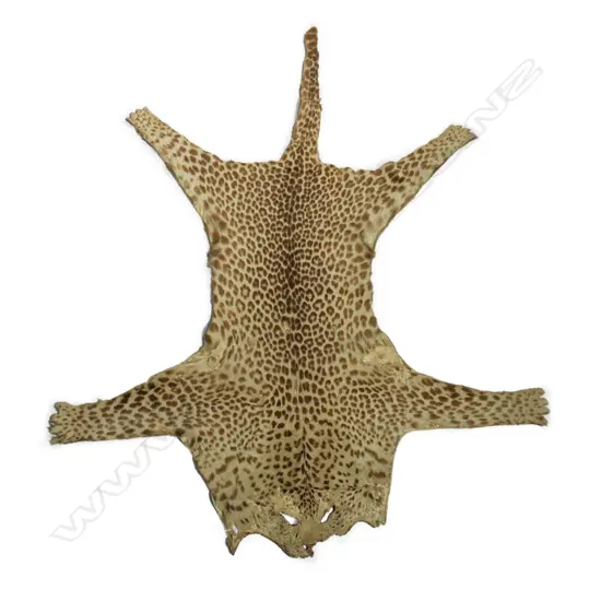 A vintage leopard skin rug,
