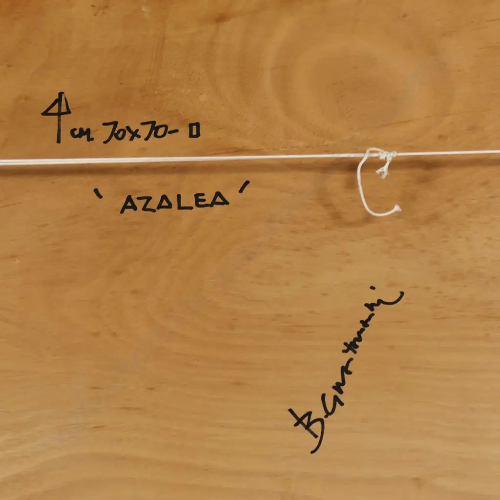 Bruno Guaitamacci (1931-2005) 'Azalia', Image 1++