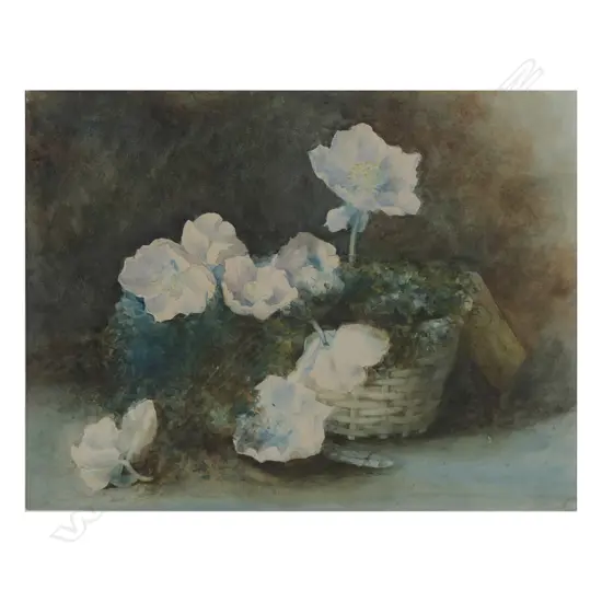 Attributed Margaret Olrog Stoddart (1865-1934) untitled still life hellebores in basket,