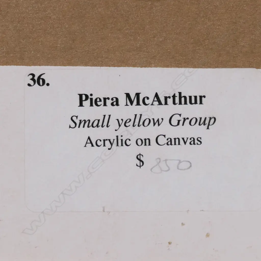 Piera McArthur 'Small Yellow Group', Image 1++