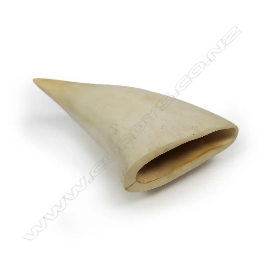 An old polished sperm whale tooth, Image 1++