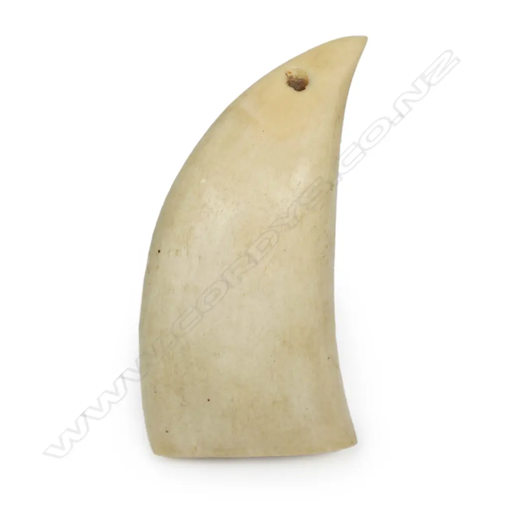 An old polished sperm whale tooth, Image 1++