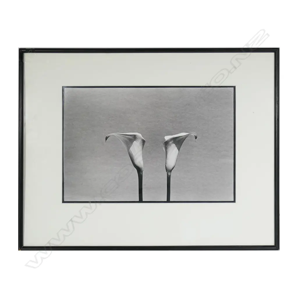 Peter Peryer (NZ1941-2018) 'Lilies', Image 1++