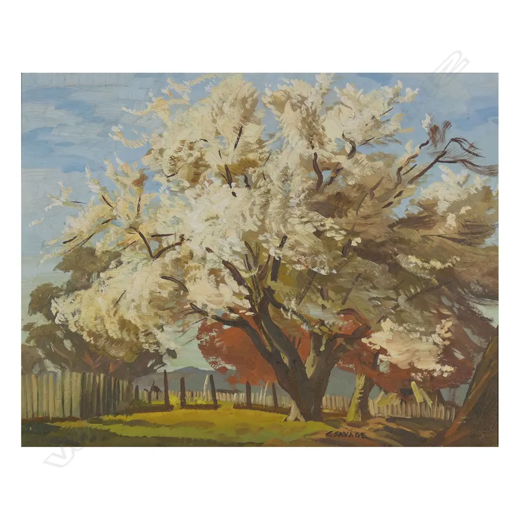 Cedric Savage (NZ 1901-1969) 'Tree in Blossom', Image 1++