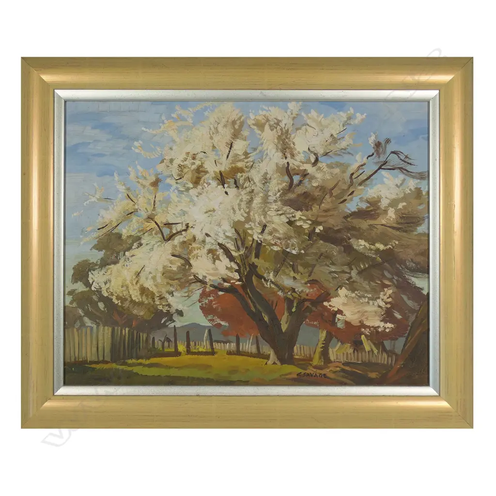Cedric Savage (NZ 1901-1969) 'Tree in Blossom', Image 1++