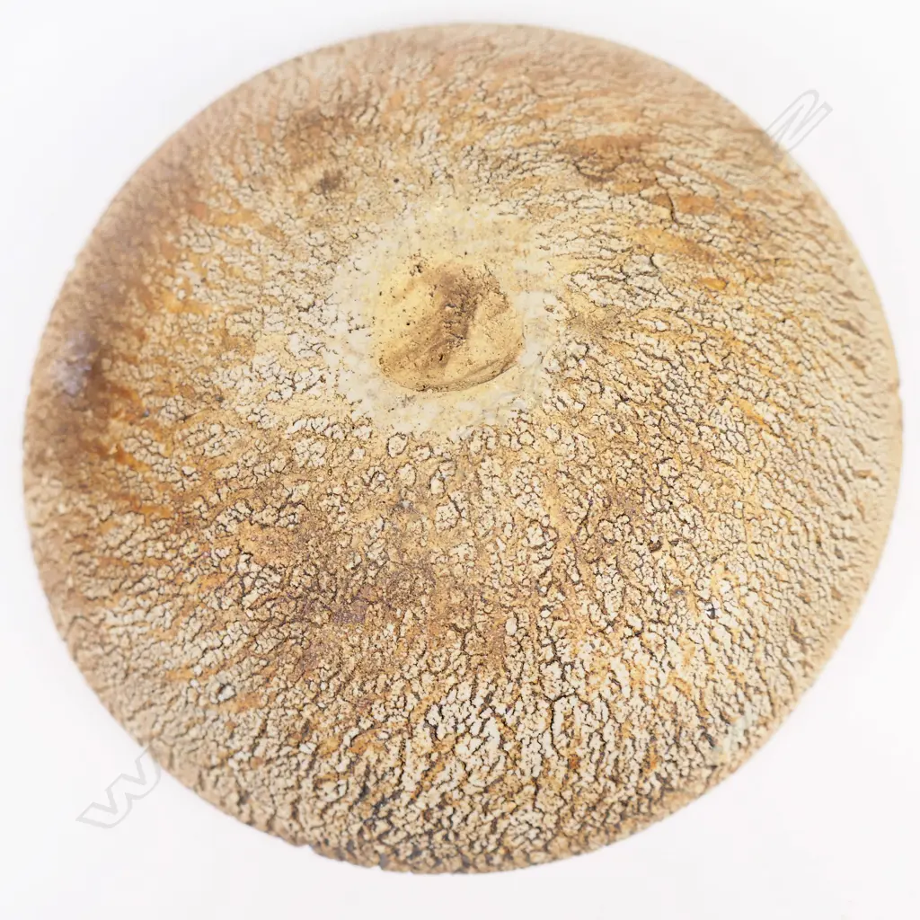 Len Castle small crater bowl with sea green interior. Dia 140mm. Image 1++