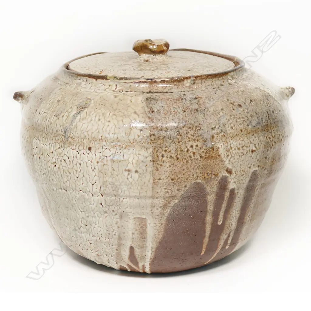 Elena Renker  substantial salt glazed lidded storage jar. H.250mm Image 1++