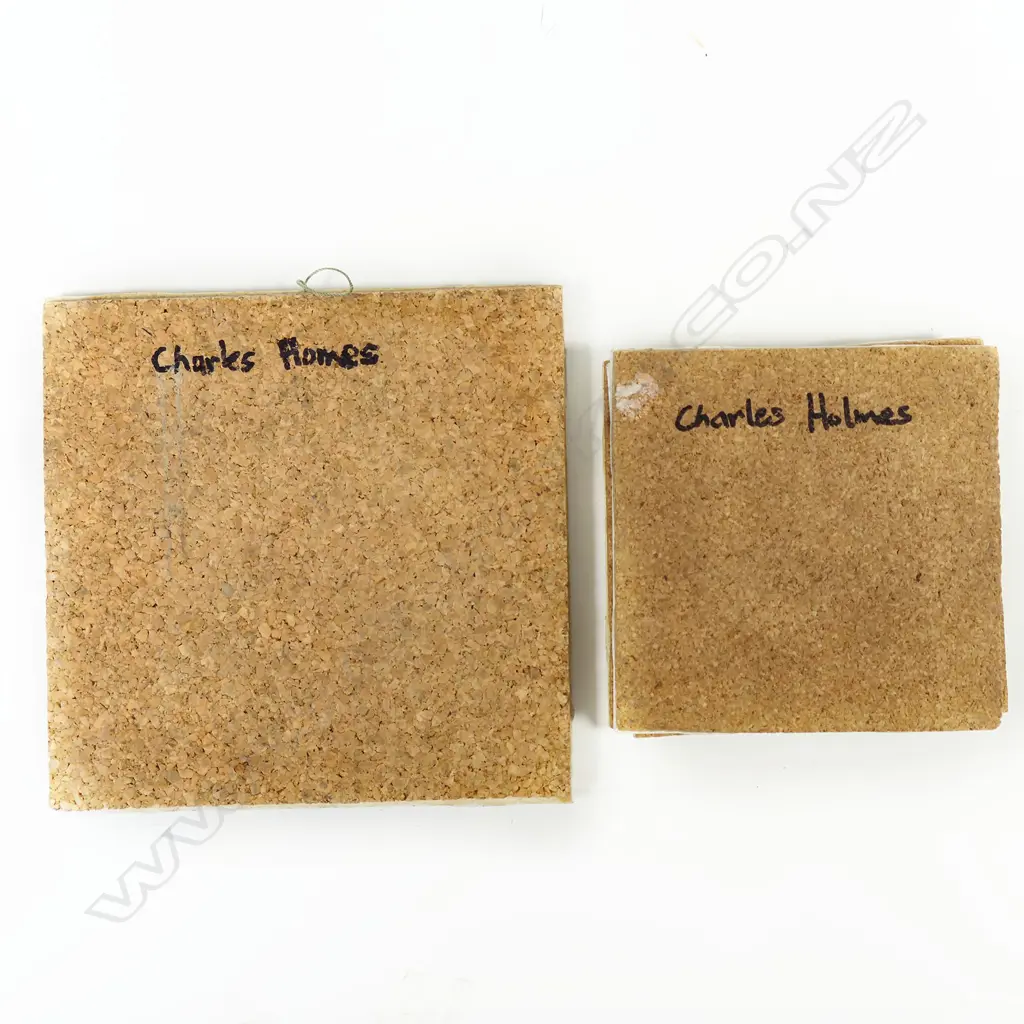 Charles Homes 1970's cork bottomed tiles w organic patterns Image 1++