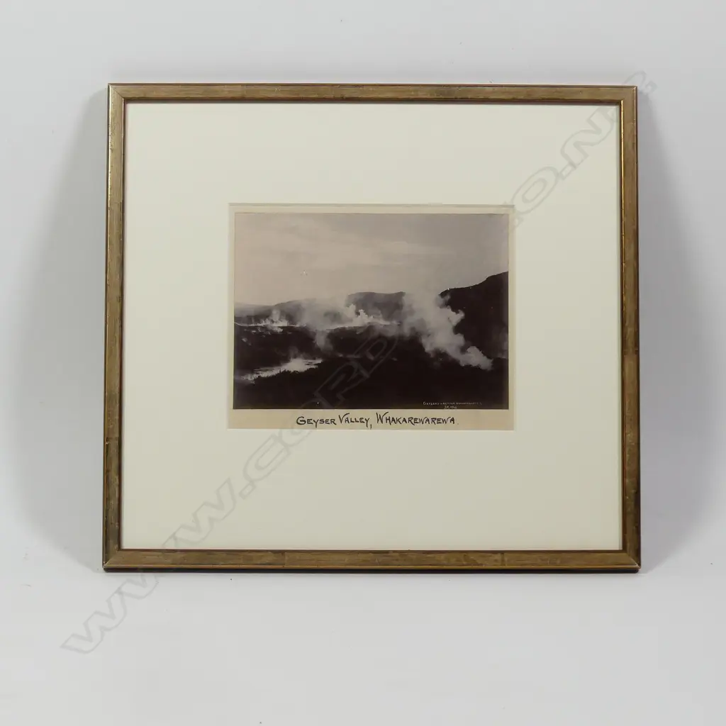 Josiah Martin (1843-1916) 'Geyser Valley - Whakarewarewa' silver gelatin chloride photograph Image 1++