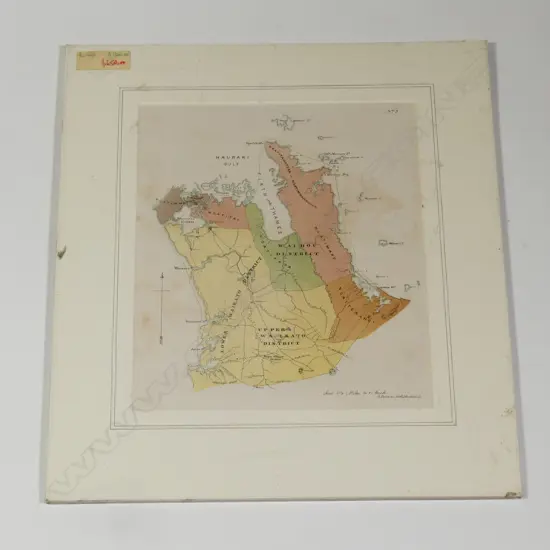 19thC map of Auckland Province showing Maori tribal areas