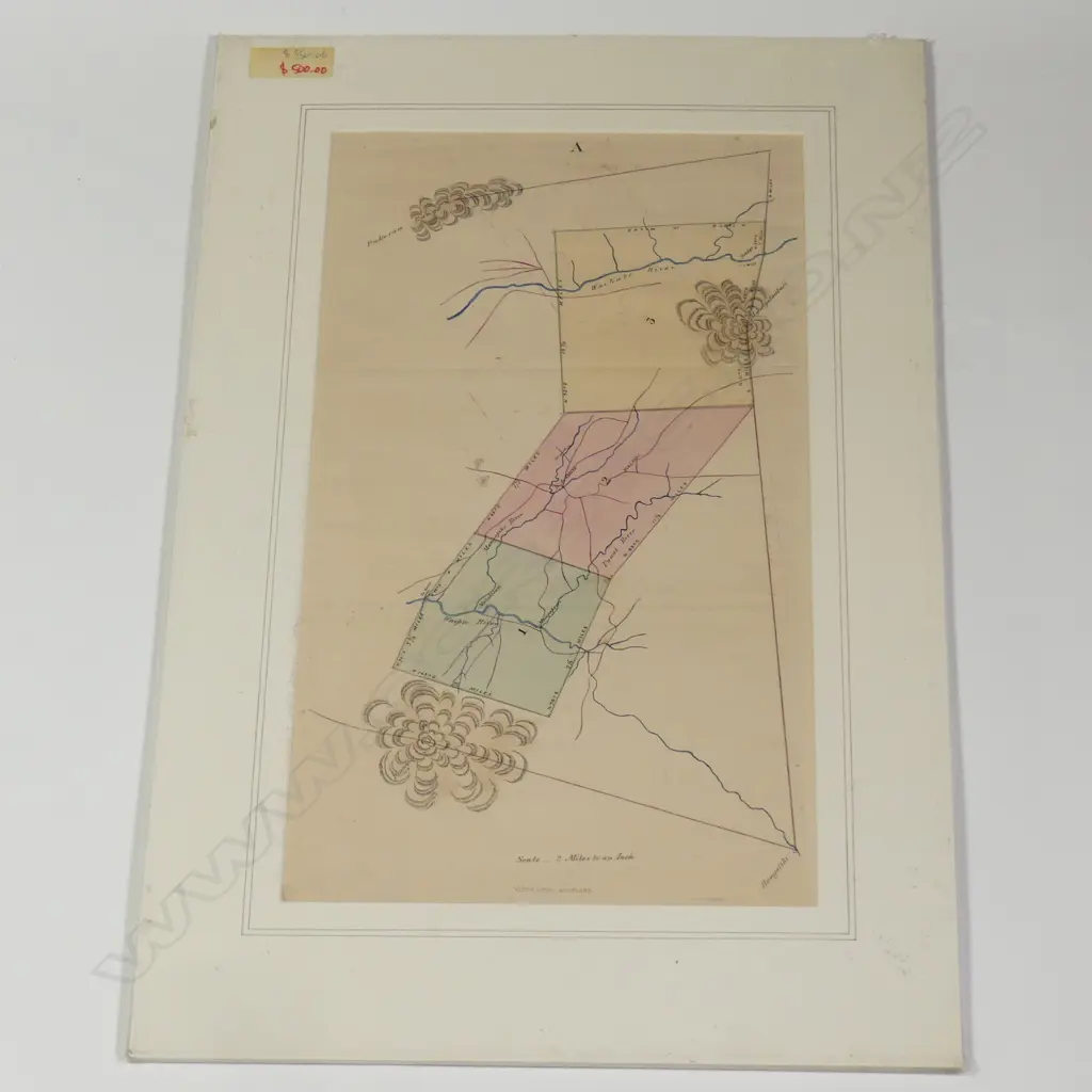 An index survey of triangulation Waikato Land District between the Waikato River and Mt. Pirongia Image 1++