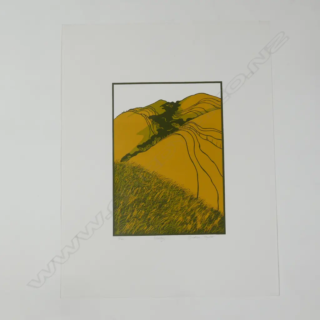 Cynthia Taylor (b. 1947) 'Valley' screenprint Image 1++