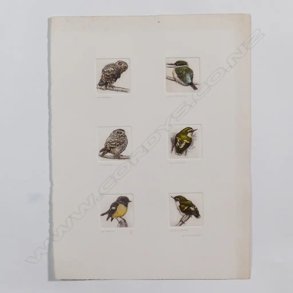 Six Russell Jackson native bird  engravings Image 1++