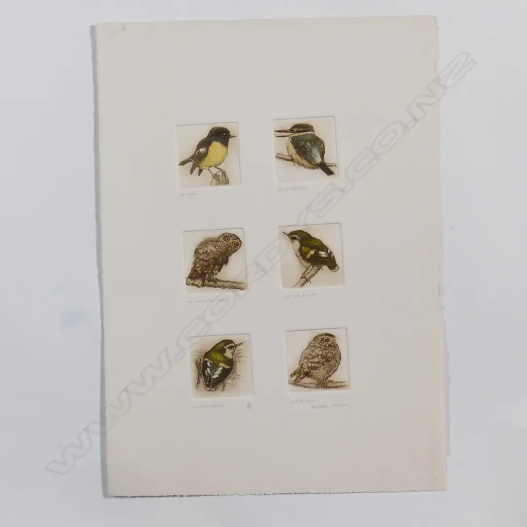 Six Russell Jackson native bird engravings Image 1++