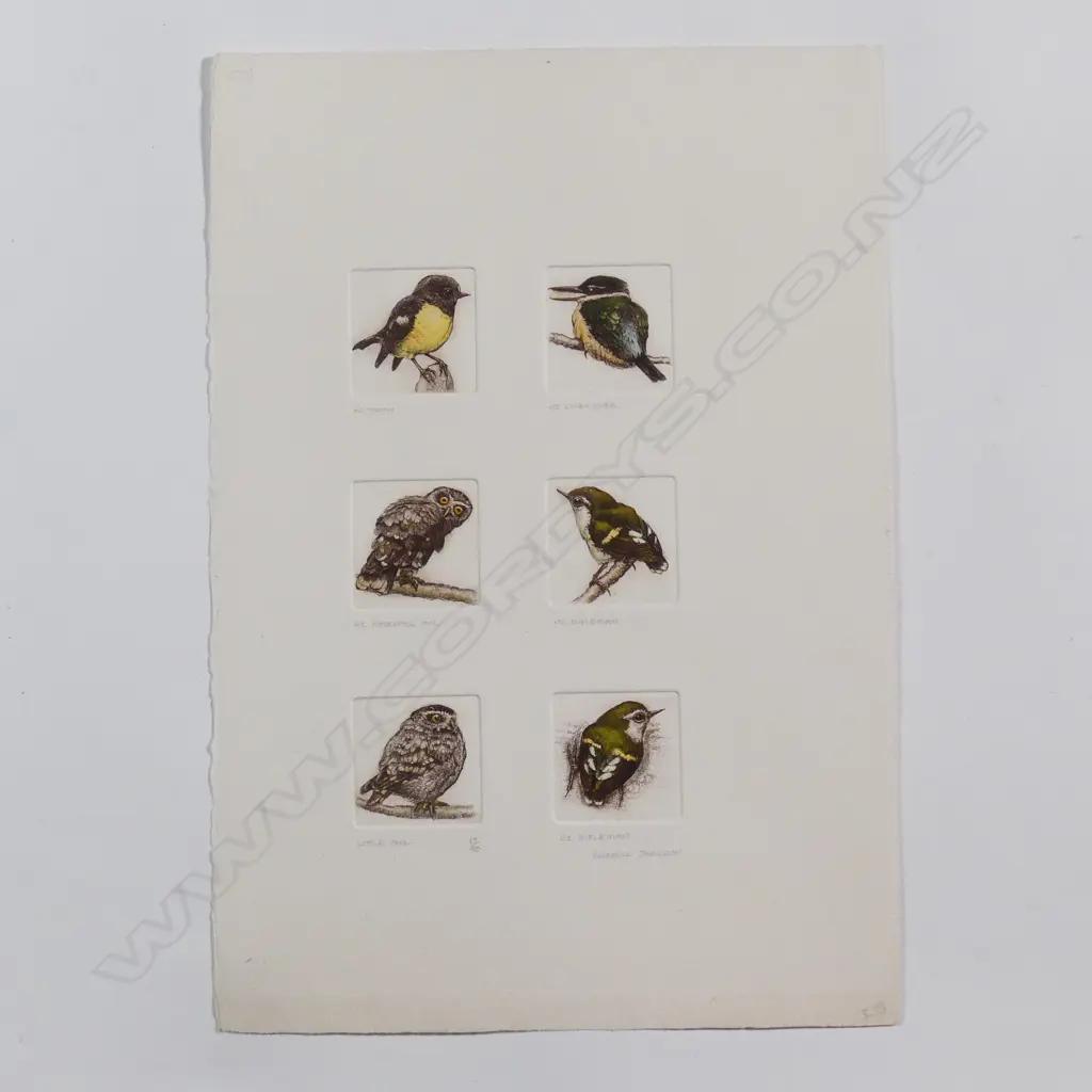 Six Russell Jackson native bird engravings Image 1++