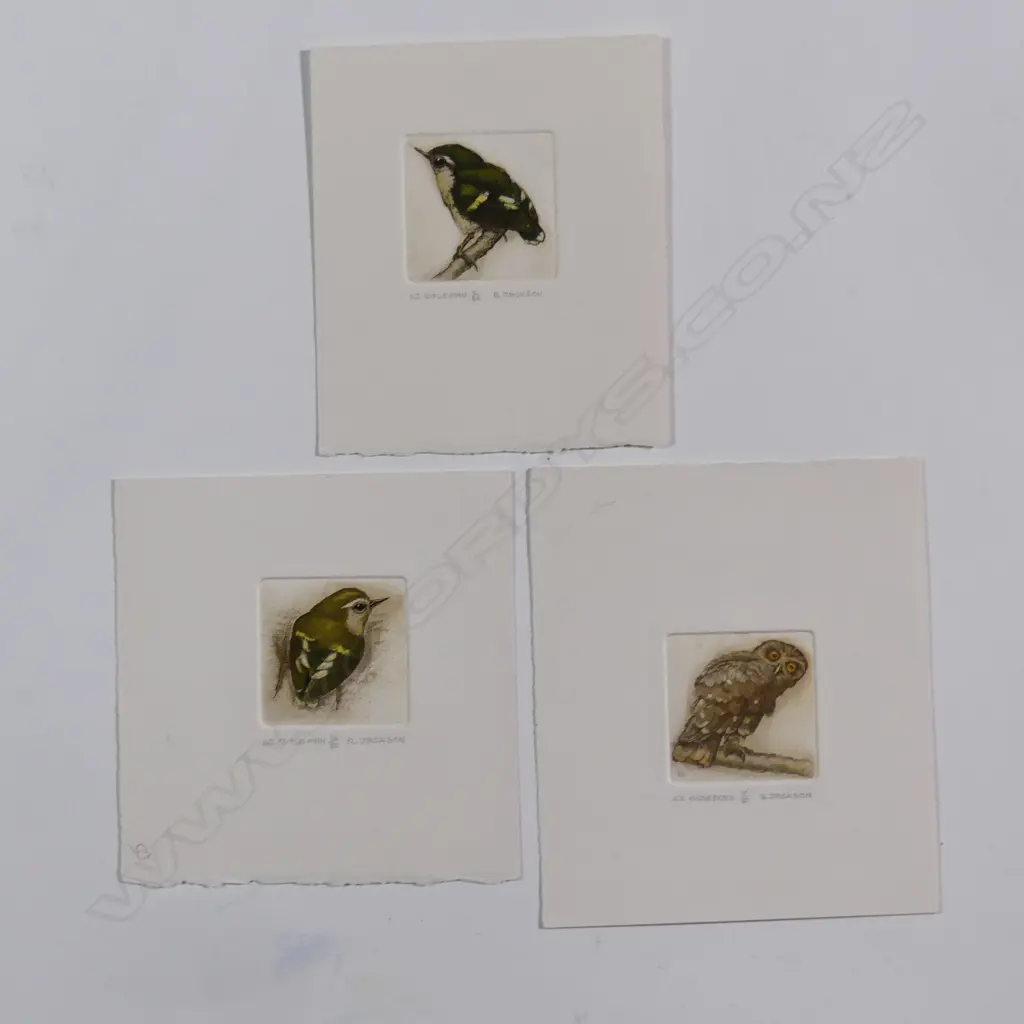 Three Russell Jackson native bird engravings Image 1++